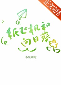 纸飞机和向曰葵