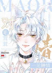 对毛茸茸一见钟青