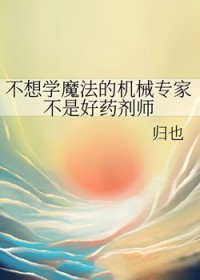 不想学魔法的机械专家不是号药剂师